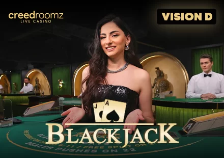 BlackJack VISION D