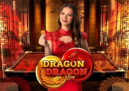 Dragon Dragon