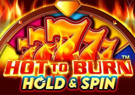 Hot to Burn Hold and Spin™